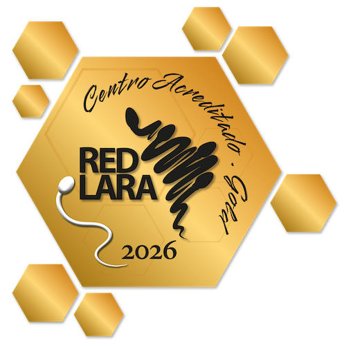 RED LARA Gold 2026